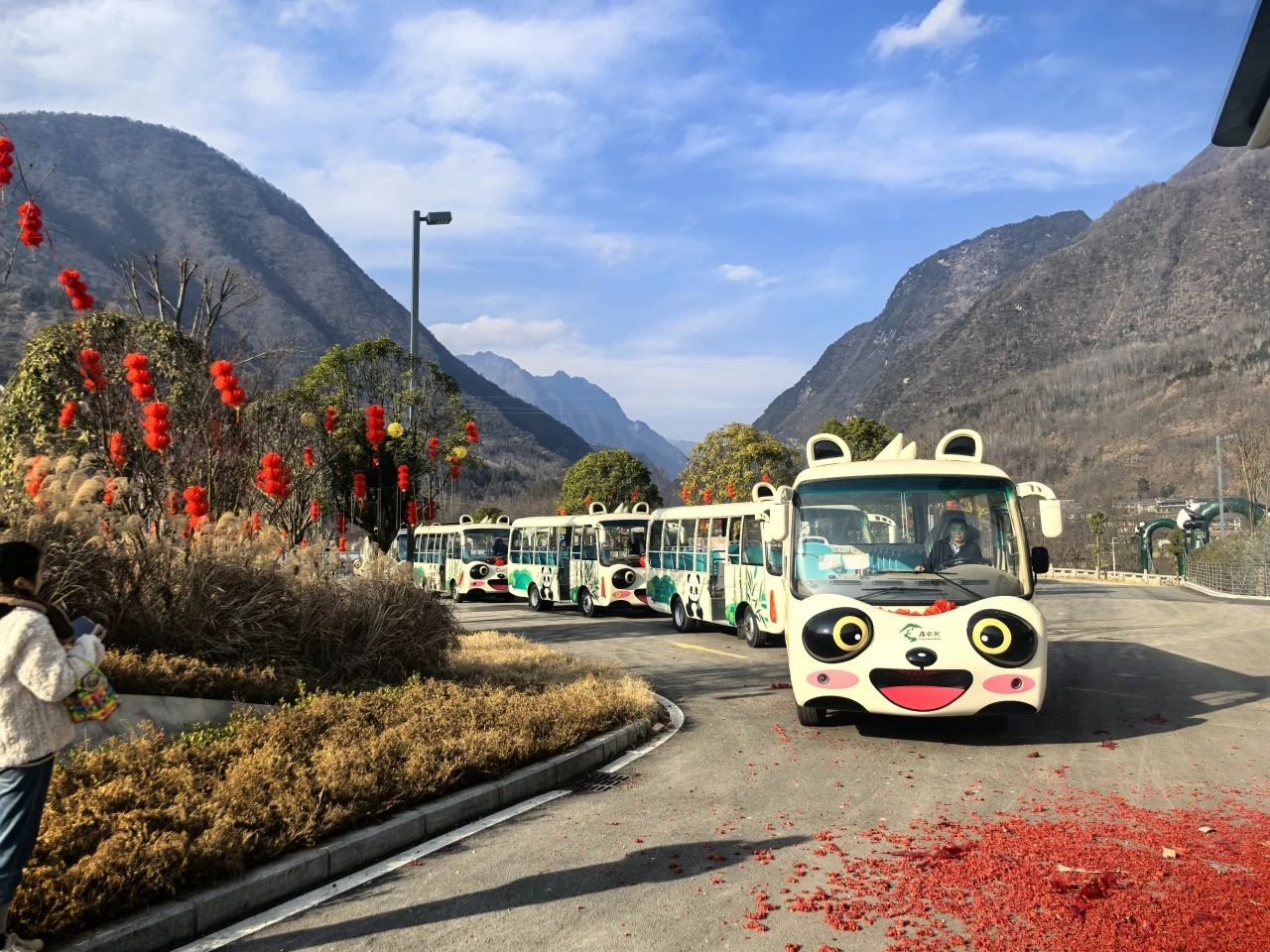 2025年景区交通该往哪儿发力？百乐博观光车助力打造景区交通运营新“范式”